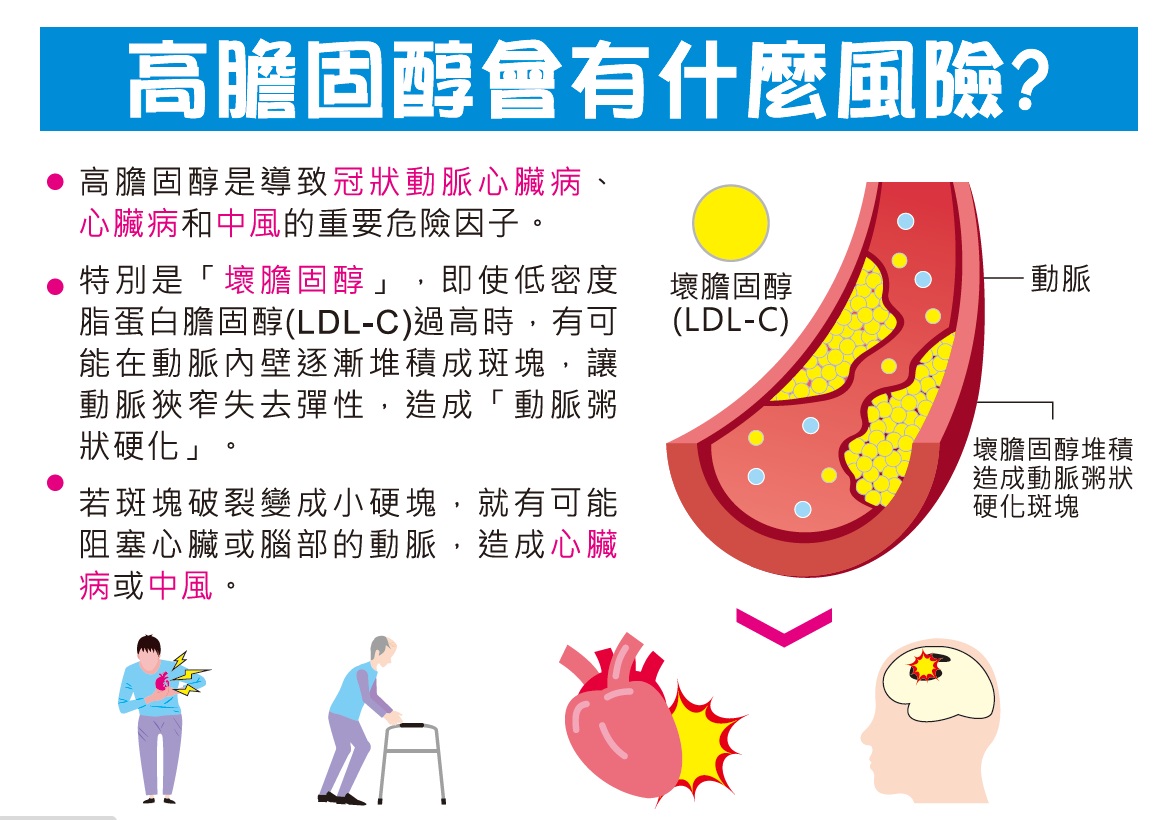 高血脂不是胖的人才会有，“这些原因”让瘦子胆固醇过高！医揭5危险因子：这两种食物少吃 – 大保社