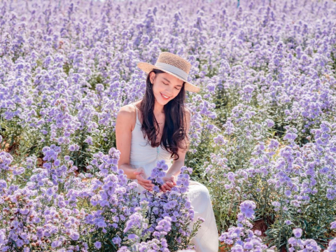 乳癌七大错误观念》有家族病史罹患乳癌风险高？早生育、有哺乳就免担心？乳癌权威医师这样说 – 大保社