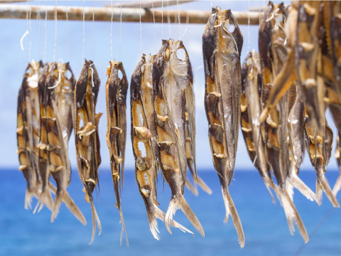 吃饭少配“这种鱼”!台大医示警:罹癌机率多6倍…不只鼻咽癌,胃癌、食道癌都与它有关 – 大保社