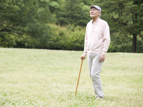 罹癌“切肝割胆、挂6条引流管”…73岁爱笑爷爷挺过胃癌重生:只要还能站起来,就陪你们走下去 – 大保社