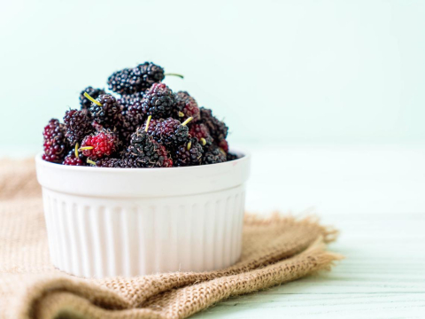 预防癌症、健发防白发、补血补气！一张图解析桑椹对人体的4大益处 – 大保社