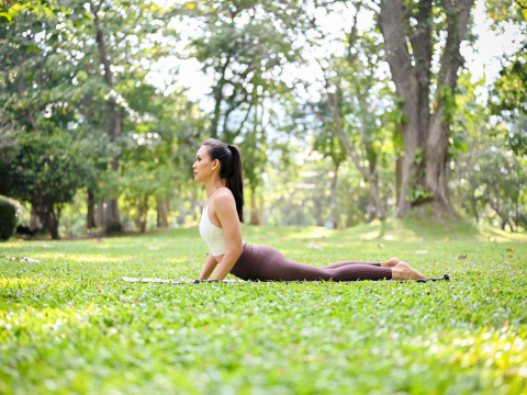 罹乳癌风险暴增近60％！一张图看懂罹癌10大危险因子 – 大保社