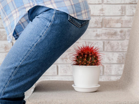 春夏嘴破、痔疮又来乱？你的身体正在爆发内战！每天做一招告别恼人痔疮，同步升级免疫力 – 大保社