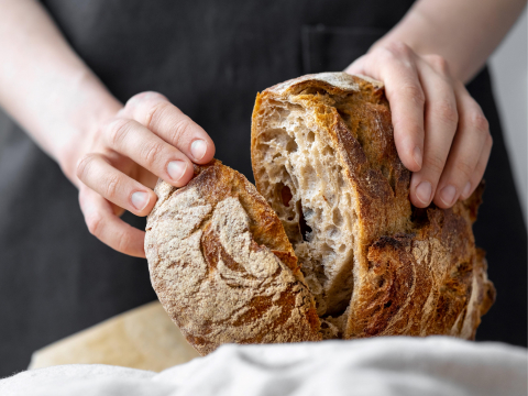 全麦面包比较健康？医师揭真相：少1关键“营养全没了”，还不如吃白吐司 – 大保社