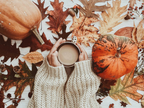 秋季养生这样吃！芝麻、南瓜、银耳“润燥”温补，按压两穴位降血压、提升免疫力 – 大保社