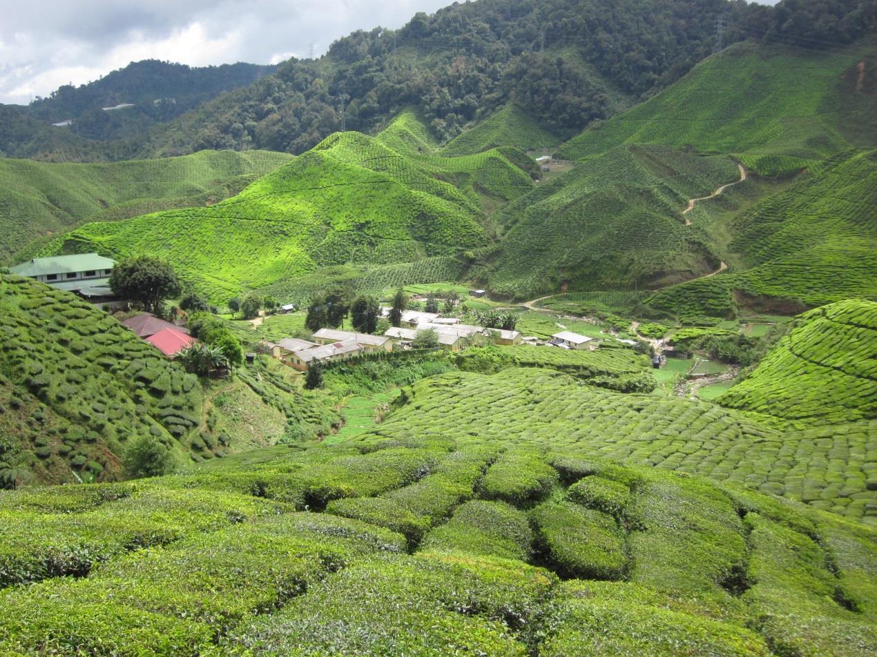 人间秘境真的存在!走入东南亚 8 个超梦幻景点,掉入 RO 仙境传说的场景里 内容图5 女神网-大潮社TV实时追踪属于女人新资讯的综合网站! 人间秘境真的存在!走入东南亚 8 个超梦幻景点,掉入 RO 仙境传说的场景里 休闲学堂 图5张