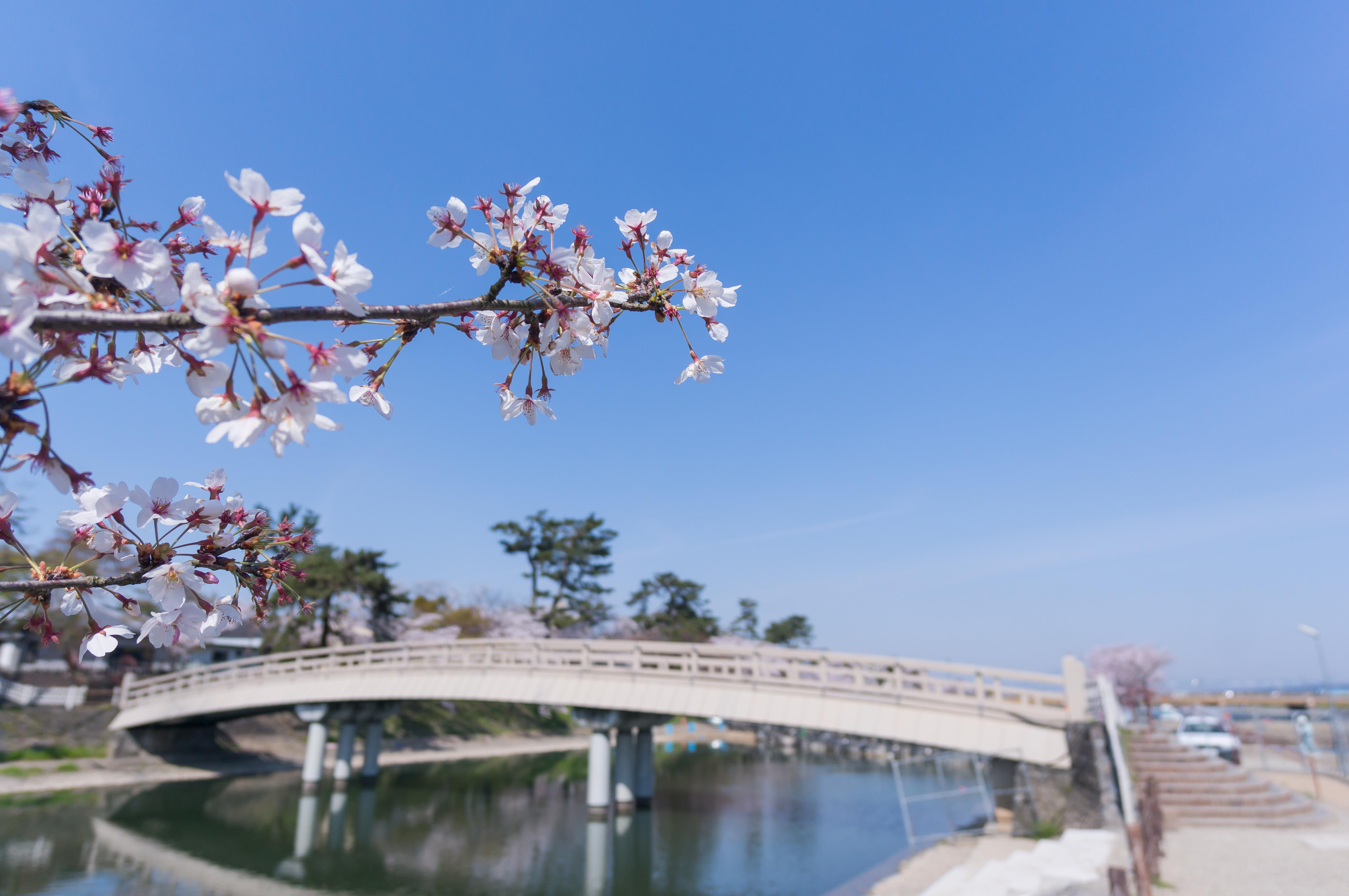 抹茶控必看!走访日本京都抹茶乡:宇治美食、旅游景点大公开 内容图12 女神网-大潮社TV实时追踪属于女人新资讯的综合网站! 抹茶控必看!走访日本京都抹茶乡:宇治美食、旅游景点大公开 休闲学堂 图12张