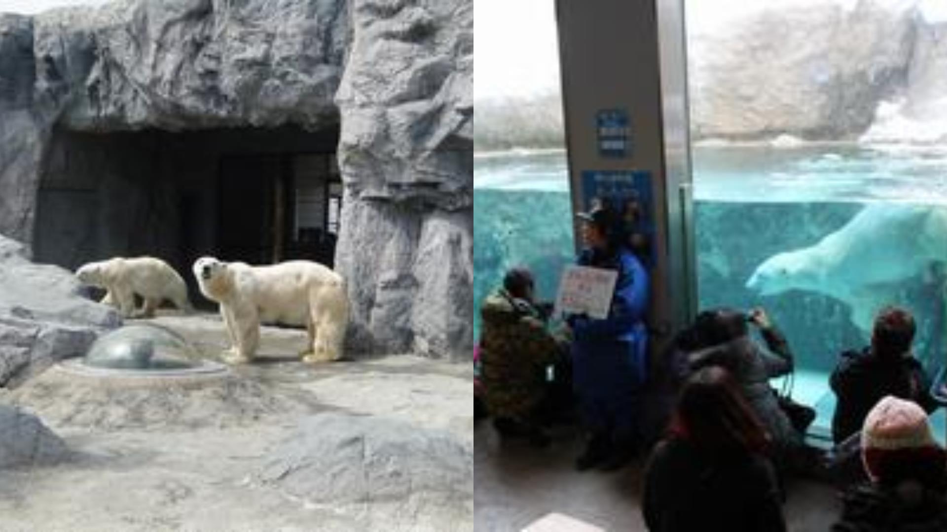 亲子出国首选!“遛小孩的天堂”激推日本 10 个最适合亲子旅游景点懒人包! 内容图6 女神网-大潮社TV实时追踪属于女人新资讯的综合网站! FotoJet - 2019-06-27T161240.009.jpg