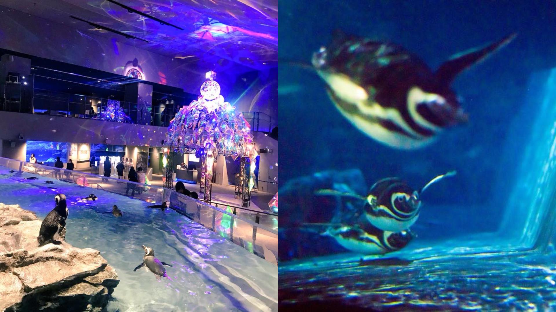 亲子出国首选!“遛小孩的天堂”激推日本 10 个最适合亲子旅游景点懒人包! 内容图7 女神网-大潮社TV实时追踪属于女人新资讯的综合网站! FotoJet - 2019-06-27T162727.445.jpg