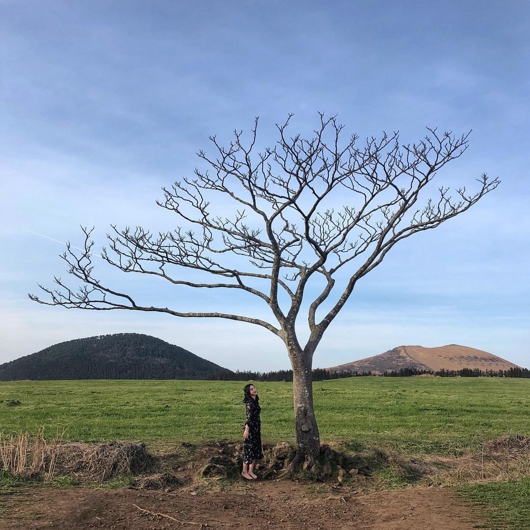 韩剧景点这里找!2019 首尔必去新景点,带你走访巷弄洞内风景 内容图2 女神网-大潮社TV实时追踪属于女人新资讯的综合网站! 58410431_173804626891838_8772250770421348067_n