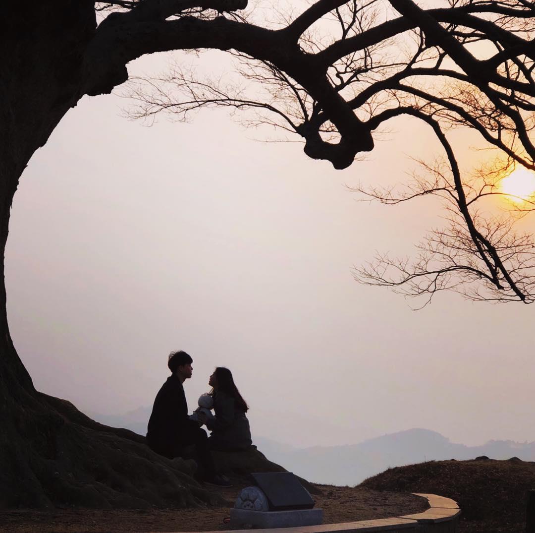 韩剧景点这里找!2019 首尔必去新景点,带你走访巷弄洞内风景 内容图4 女神网-大潮社TV实时追踪属于女人新资讯的综合网站! 51849640_319529525364750_4292147864187946091_n.jpg