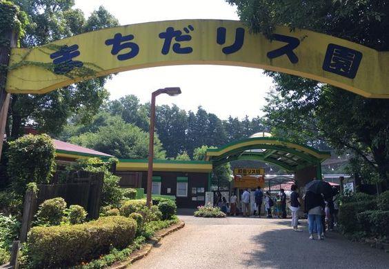 83cc38cbbc4589a519c9a99290f0da76