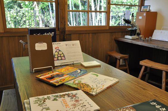 盘点东京 10 大“无料”景点:就算走到铁腿,也要玩好玩满! 内容图7 女神网-大潮社TV实时追踪属于女人新资讯的综合网站! 盘点东京 10 大“无料”景点:就算走到铁腿,也要玩好玩满! 乐活旅行 图7张