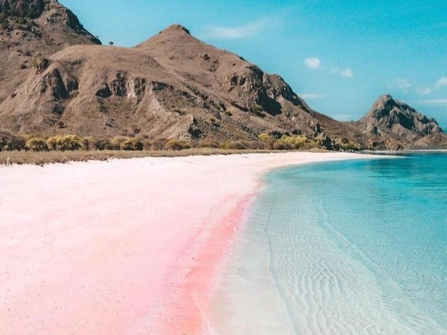 离TW超近的 5 大“亚洲粉色景点”:粉色宫殿、粉色沙滩……一网打尽“粉”浪漫的少女心! 内容图4 女神网-大潮社TV实时追踪属于女人新资讯的综合网站! FotoJet (99)