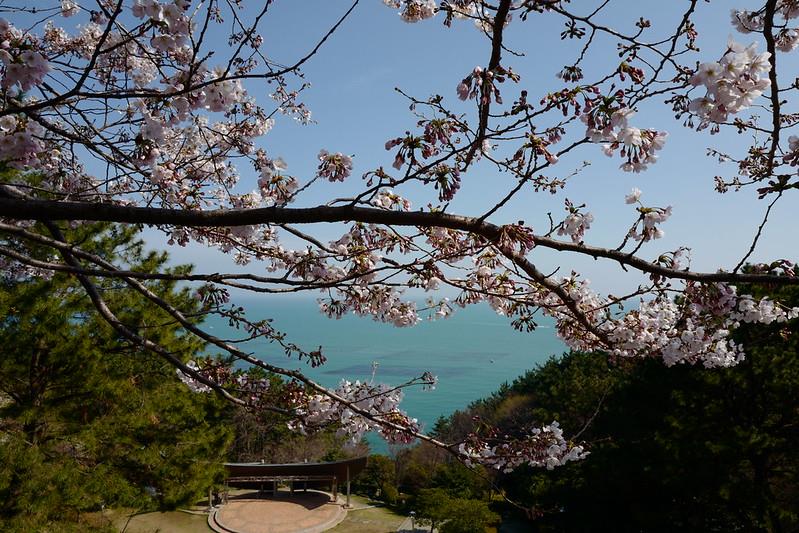 推荐 4 间超人气釜山咖啡厅:看着美景放空、品尝悠闲午茶,走慢你的韩国行 内容图7 女神网-大潮社TV实时追踪属于女人新资讯的综合网站! 33655637882_4403fbbc1d_c