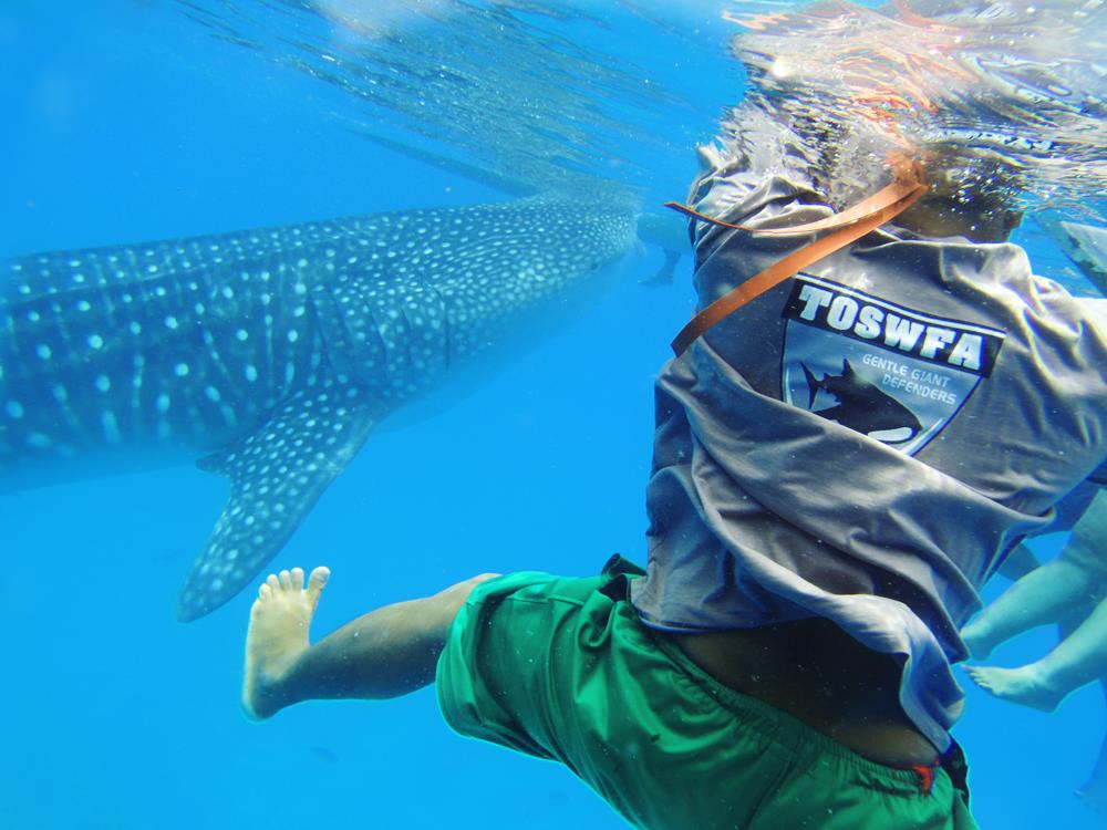 谁说出国要花大钱?推荐宿雾 5 天 4 夜省钱攻略,高 CP 值玩遍超级海景! 内容图6 女神网-大潮社TV实时追踪属于女人新资讯的综合网站! 9219611519_208961f59e_o