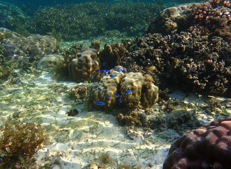 谁说出国要花大钱?推荐宿雾 5 天 4 夜省钱攻略,高 CP 值玩遍超级海景! 内容图7 女神网-大潮社TV实时追踪属于女人新资讯的综合网站! 1579139164224