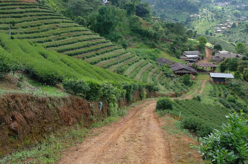 泰国清莱怎么玩?白黑蓝庙、帕尧胡、长颈族聚落,一赏泰北的清幽风情 内容图6 女神网-大潮社TV实时追踪属于女人新资讯的综合网站! 5827009375_a6896172ee_o