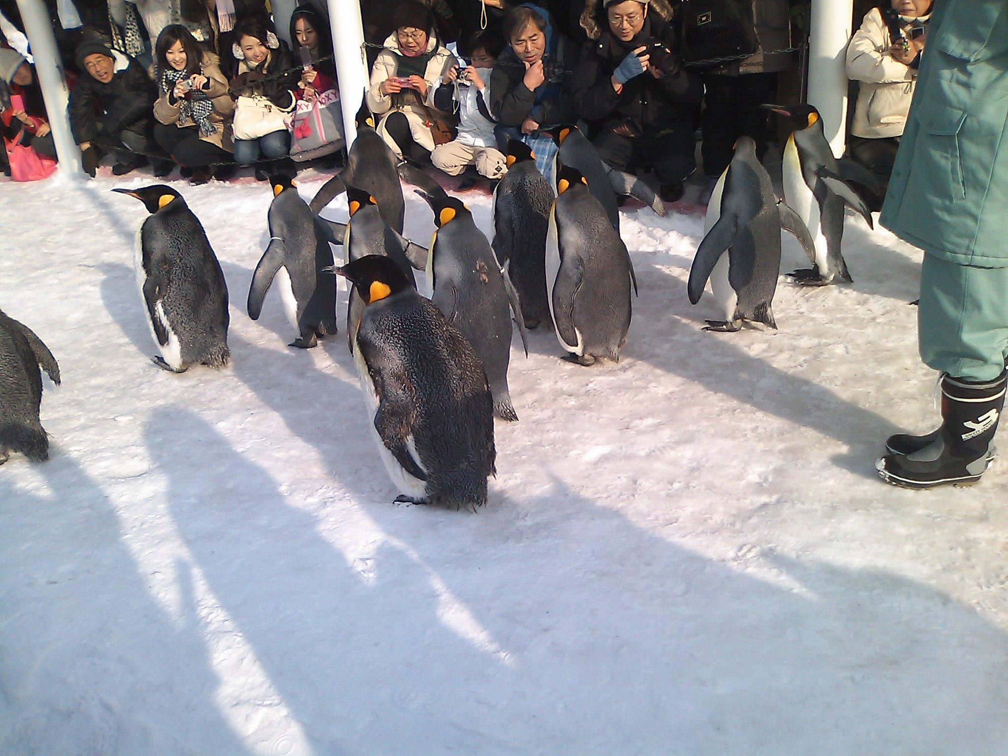 TW人心中 Top10 国外景点大赏:圣米歇尔山、哈比人村、长滩岛…规划年度旅游地图! 内容图6 女神网-大潮社TV实时追踪属于女人新资讯的综合网站! TW人心中 Top10 国外景点大赏:圣米歇尔山、哈比人村、长滩岛…规划年度旅游地图! 乐活旅行 图6张