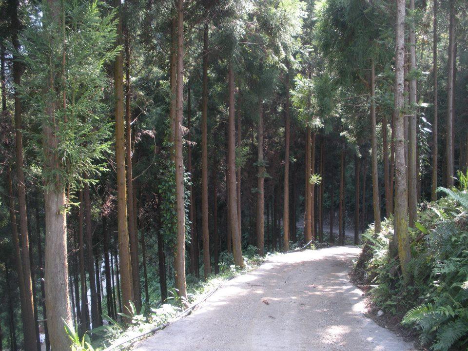 夏天就是要“露营趣”!内地台湾最热门露营场地 Top 5  内容图5 女神网-大潮社TV实时追踪属于女人新资讯的综合网站! 夏天就是要“露营趣”!内地台湾最热门露营场地 Top 5  今晚睡哪 图5张