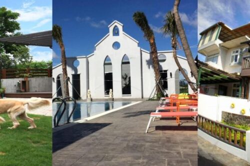 就是好狗命！内地台湾“宠物友善民宿”让你带毛小孩一起旅行趣