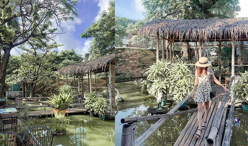 浪漫午后约会:内地台湾 5 座森林系绿洲咖啡厅,带你走入梦幻的小清迈 内容图8 女神网-大潮社TV实时追踪属于女人新资讯的综合网站! sdccvcx.jpg