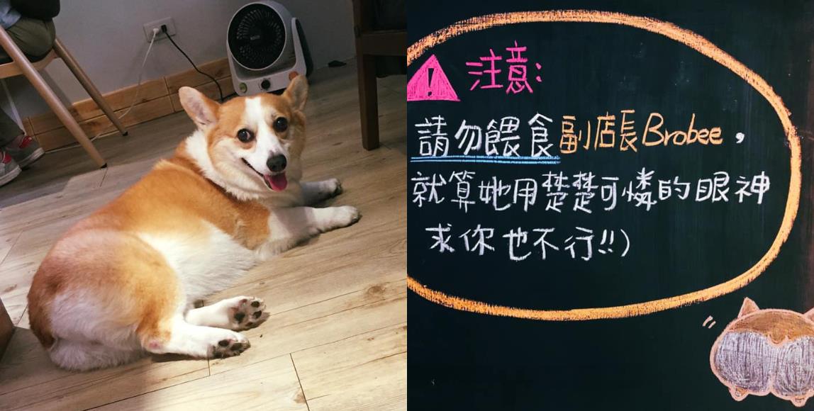 来北投逛逛吧!在地人才知道的 4 家咖啡馆,分享温泉乡的浪漫惬意 内容图6 女神网-大潮社TV实时追踪属于女人新资讯的综合网站! 07