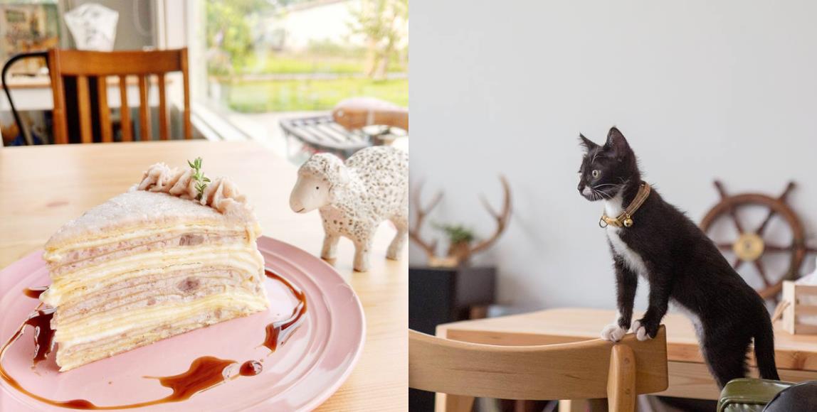 新竹 4 间“宠物餐厅”大搜查:就让毛小孩的温馨陪伴,疗愈生活中的疲惫吧! 内容图1 女神网-大潮社TV实时追踪属于女人新资讯的综合网站! 新竹 4 间“宠物餐厅”大搜查:就让毛小孩的温馨陪伴,疗愈生活中的疲惫吧! 休闲学堂 图1张