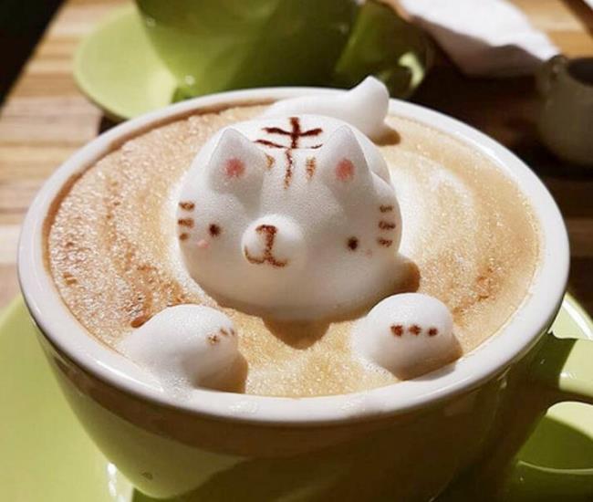 新竹 4 间“宠物餐厅”大搜查:就让毛小孩的温馨陪伴,疗愈生活中的疲惫吧! 内容图4 女神网-大潮社TV实时追踪属于女人新资讯的综合网站! FotoJet - 2019-12-23T143910.234