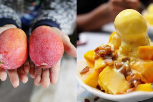 来玉井怎能错过芒果！精选 4 间必吃冰店，从古早味到天然味享受融化口中的香甜