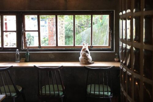 手持一杯咖啡浓黑醇香，望看绿山环绕：台北、新北山区咖啡厅十选