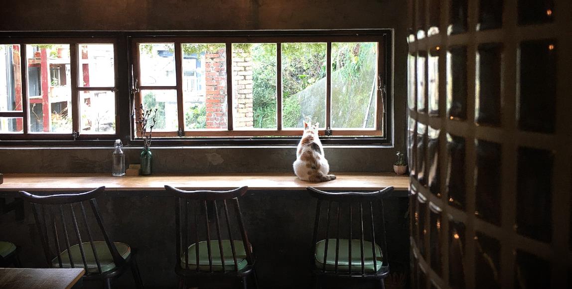 手持一杯咖啡浓黑醇香,望看绿山环绕:台北、新北山区咖啡厅十选 内容图1 女神网-大潮社TV实时追踪属于女人新资讯的综合网站! 手持一杯咖啡浓黑醇香,望看绿山环绕:台北、新北山区咖啡厅十选 休闲学堂 图1张