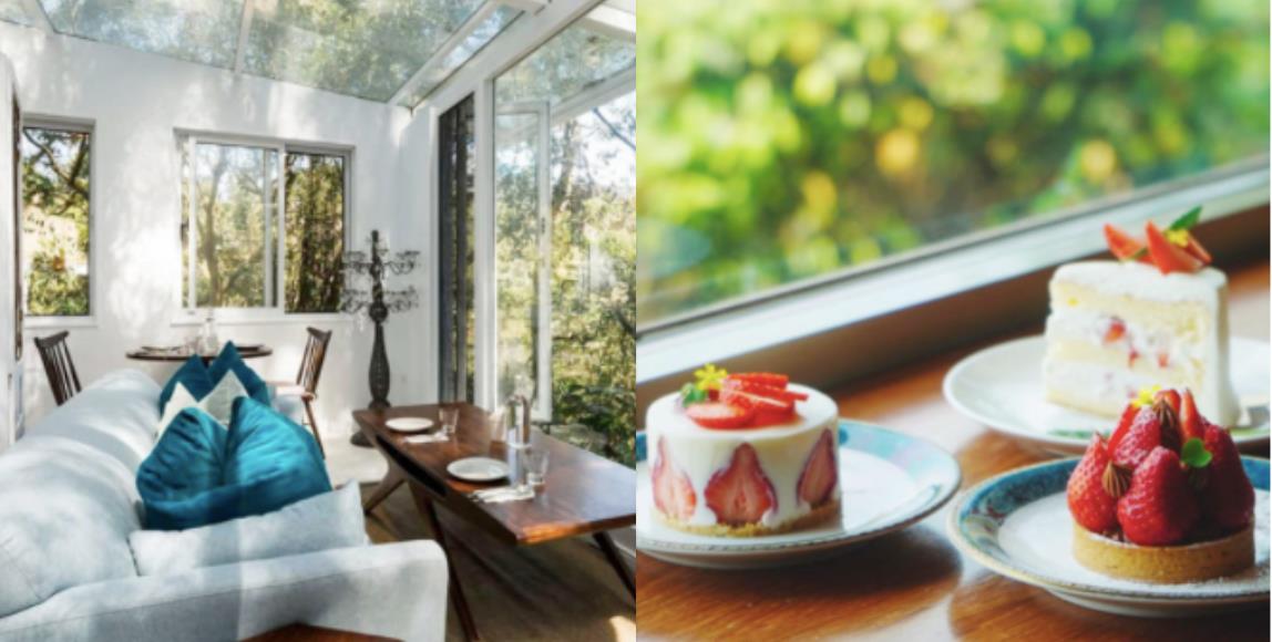 悠闲假日放松的好去处!阳明山 Top 5 景观餐厅:美式复古风餐厅、纯白玻璃屋打卡必去 内容图1 女神网-大潮社TV实时追踪属于女人新资讯的综合网站! 悠闲假日放松的好去处!阳明山 Top 5 景观餐厅:美式复古风餐厅、纯白玻璃屋打卡必去 乐活旅行 图1张