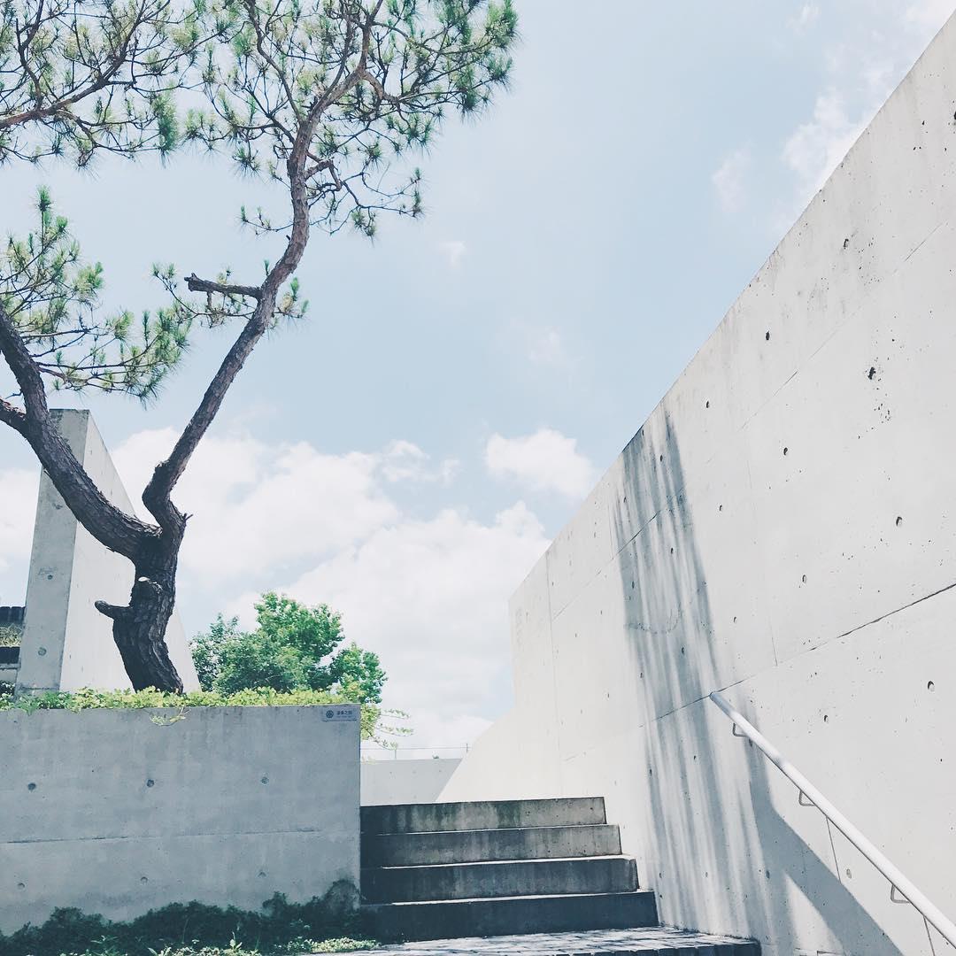 随便一个都打趴清境农场?11 个南投梦幻秘境全公开! 内容图4 女神网-大潮社TV实时追踪属于女人新资讯的综合网站! 随便一个都打趴清境农场?11 个南投梦幻秘境全公开! 乐活旅行 图4张