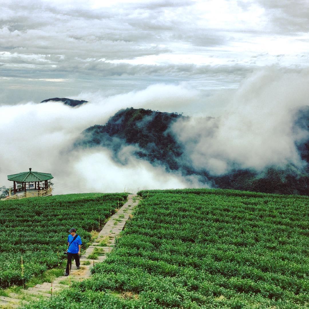 随便一个都打趴清境农场?11 个南投梦幻秘境全公开! 内容图6 女神网-大潮社TV实时追踪属于女人新资讯的综合网站! 随便一个都打趴清境农场?11 个南投梦幻秘境全公开! 乐活旅行 图6张