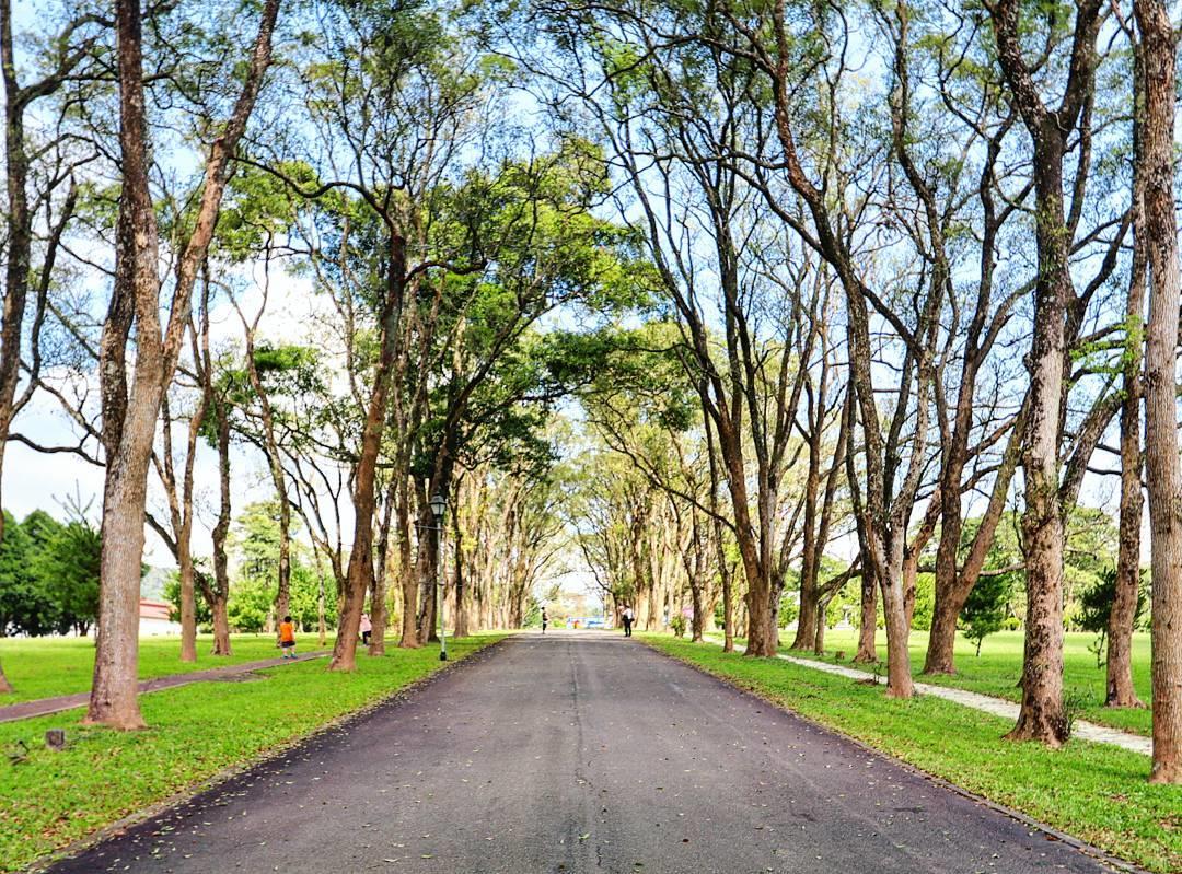 随便一个都打趴清境农场?11 个南投梦幻秘境全公开! 内容图7 女神网-大潮社TV实时追踪属于女人新资讯的综合网站! 随便一个都打趴清境农场?11 个南投梦幻秘境全公开! 乐活旅行 图7张