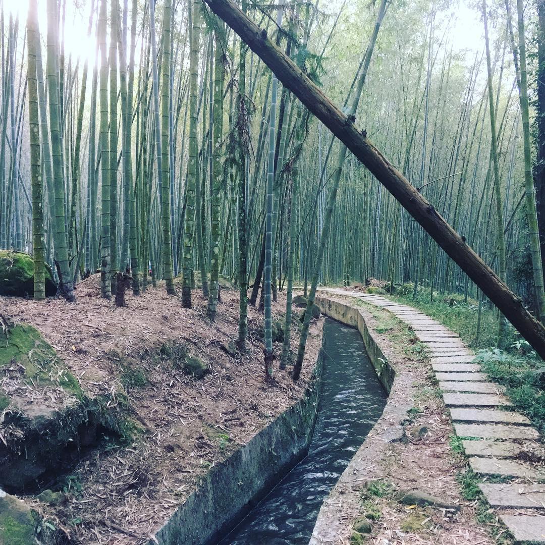 随便一个都打趴清境农场?11 个南投梦幻秘境全公开! 内容图15 女神网-大潮社TV实时追踪属于女人新资讯的综合网站! 随便一个都打趴清境农场?11 个南投梦幻秘境全公开! 乐活旅行 图15张