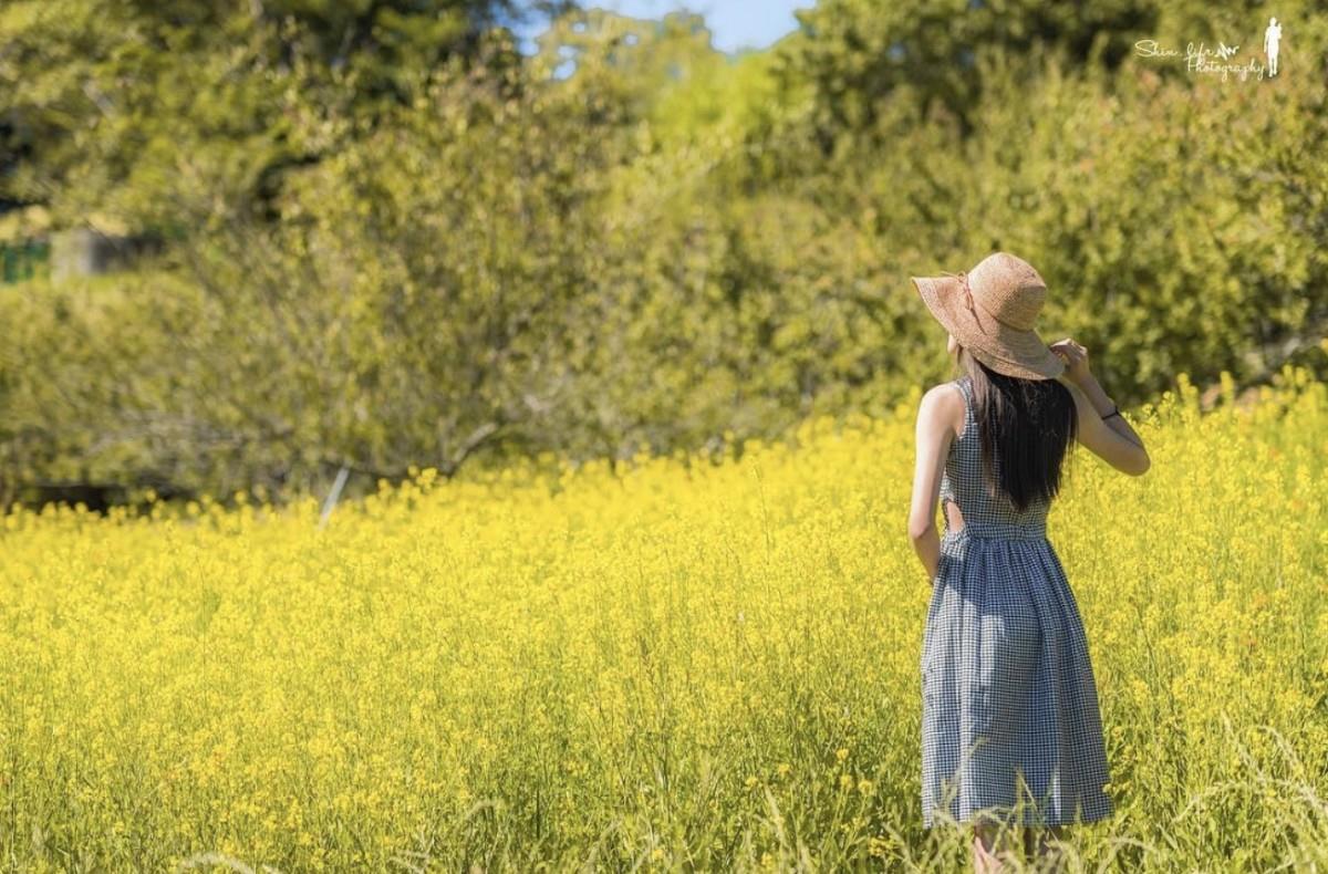 TW竟然有这么美的花海!5 处最强赏花秘境大公开 内容图2 女神网-大潮社TV实时追踪属于女人新资讯的综合网站! TW竟然有这么美的花海!5 处最强赏花秘境大公开 乐活旅行 图2张