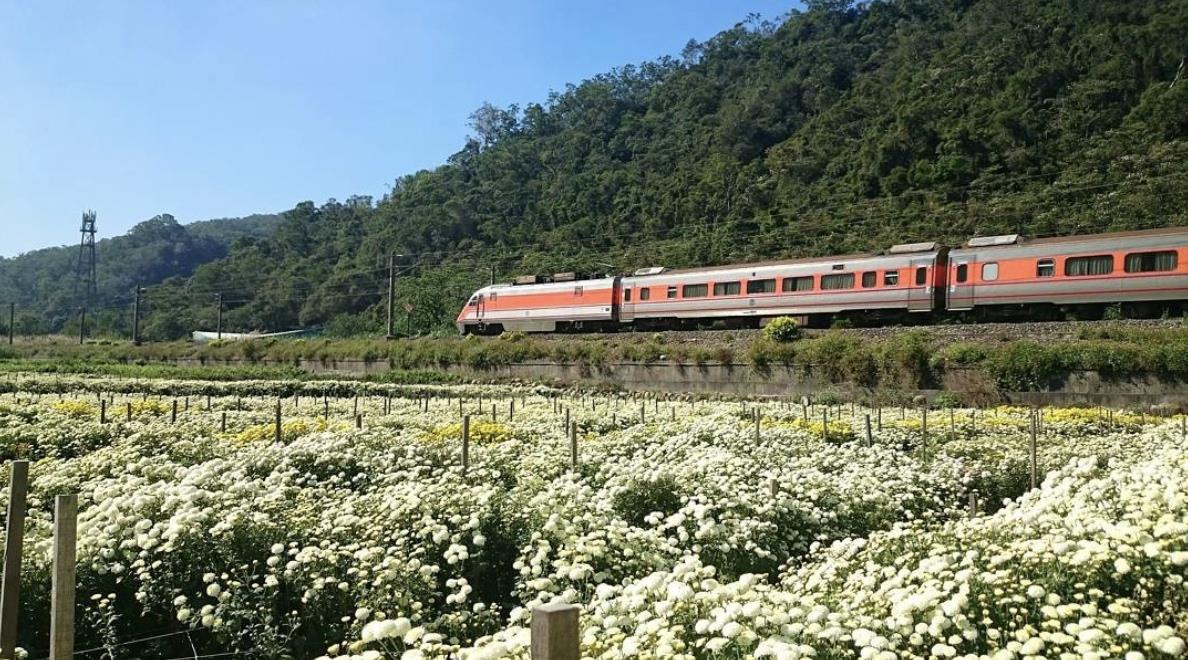 TW竟然有这么美的花海!5 处最强赏花秘境大公开 内容图5 女神网-大潮社TV实时追踪属于女人新资讯的综合网站! TW竟然有这么美的花海!5 处最强赏花秘境大公开 乐活旅行 图5张