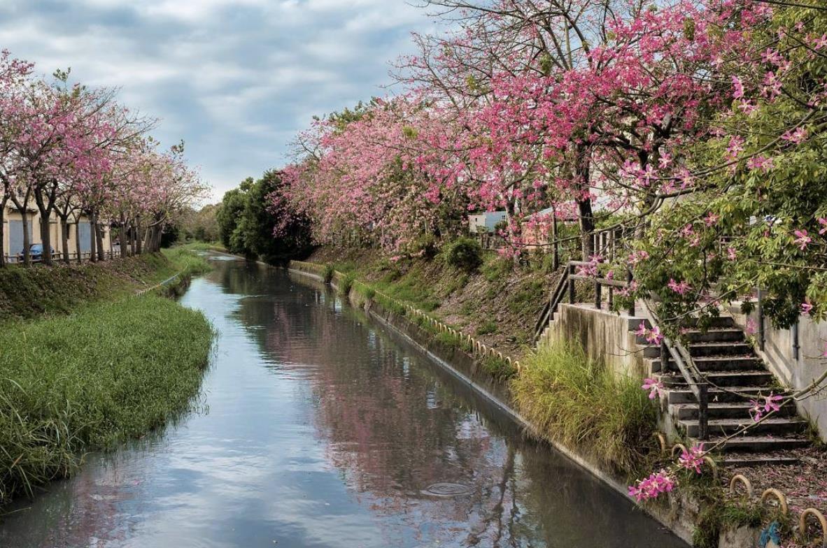 TW竟然有这么美的花海!5 处最强赏花秘境大公开 内容图6 女神网-大潮社TV实时追踪属于女人新资讯的综合网站! TW竟然有这么美的花海!5 处最强赏花秘境大公开 乐活旅行 图6张