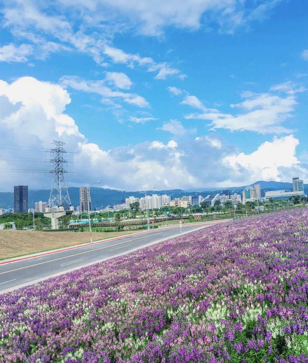 TW竟然有这么美的花海!5 处最强赏花秘境大公开 内容图9 女神网-大潮社TV实时追踪属于女人新资讯的综合网站! TW竟然有这么美的花海!5 处最强赏花秘境大公开 乐活旅行 图9张