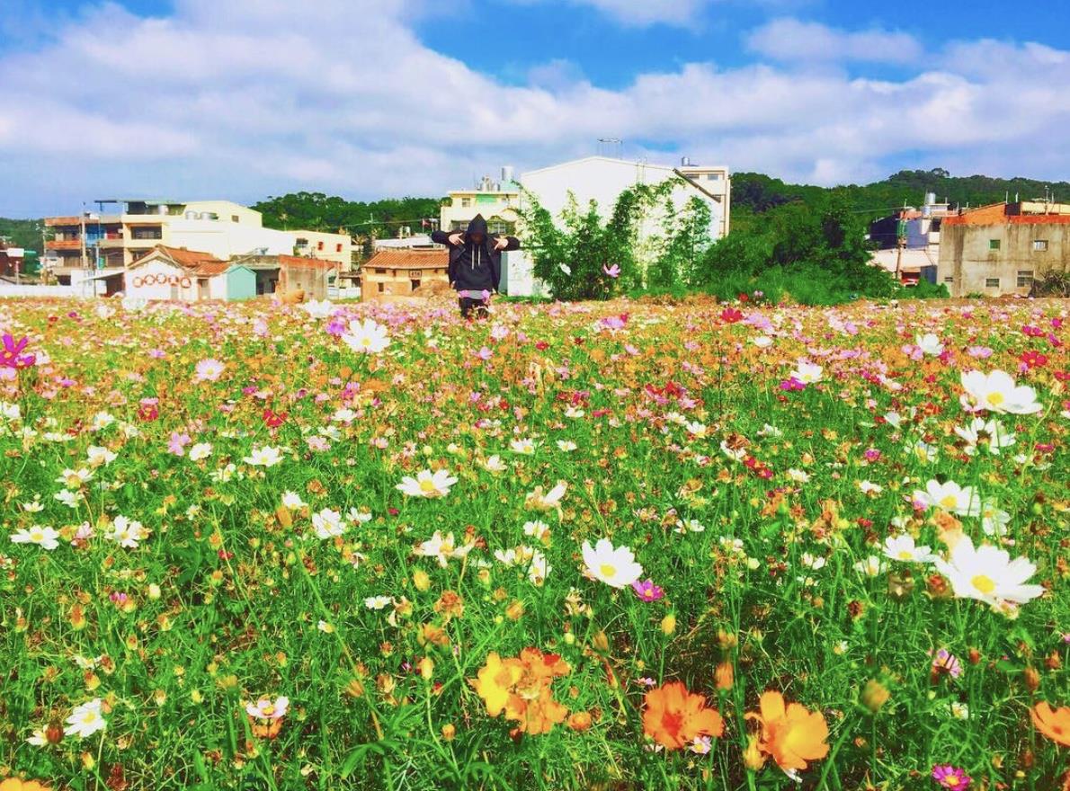 TW竟然有这么美的花海!5 处最强赏花秘境大公开 内容图11 女神网-大潮社TV实时追踪属于女人新资讯的综合网站! TW竟然有这么美的花海!5 处最强赏花秘境大公开 乐活旅行 图11张