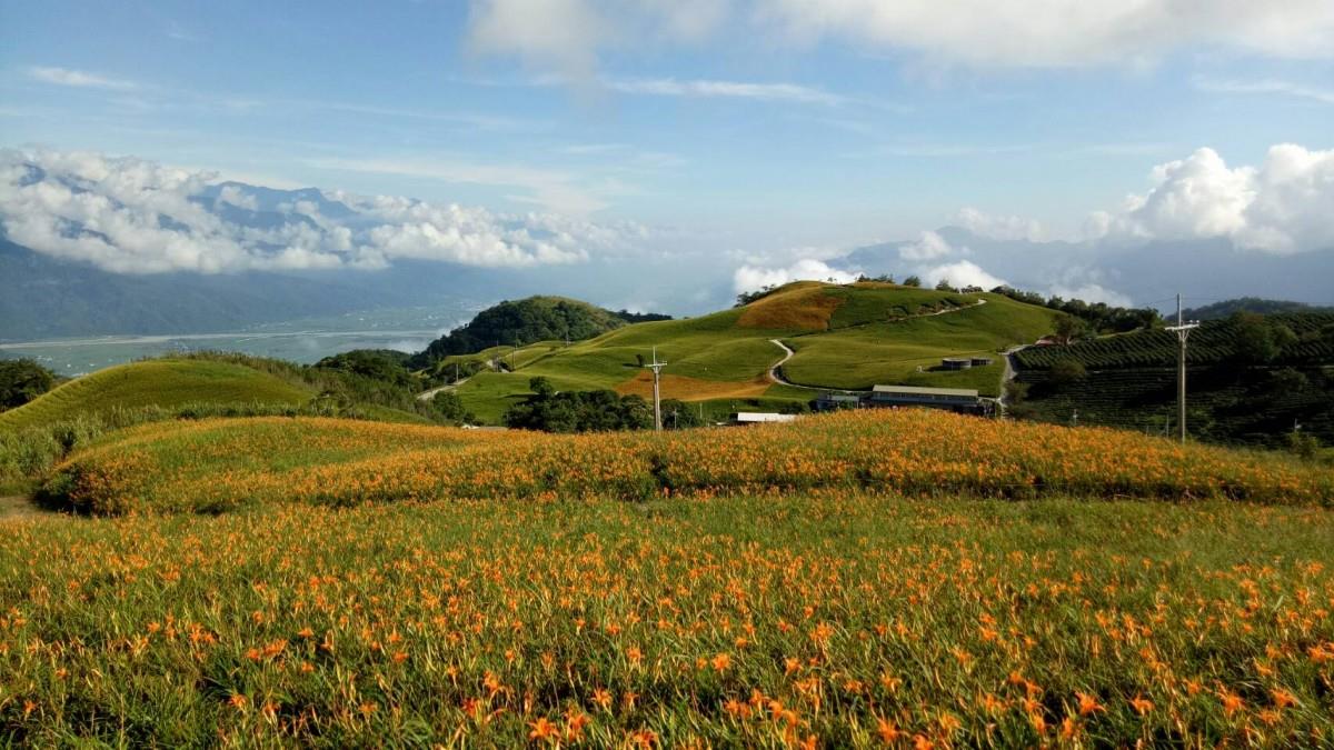 你知道金针花的花语是“忘忧”吗?为自己安排一个假期去喘口气吧! 内容图1 女神网-大潮社TV实时追踪属于女人新资讯的综合网站! 你知道金针花的花语是“忘忧”吗?为自己安排一个假期去喘口气吧! 乐活旅行 图1张