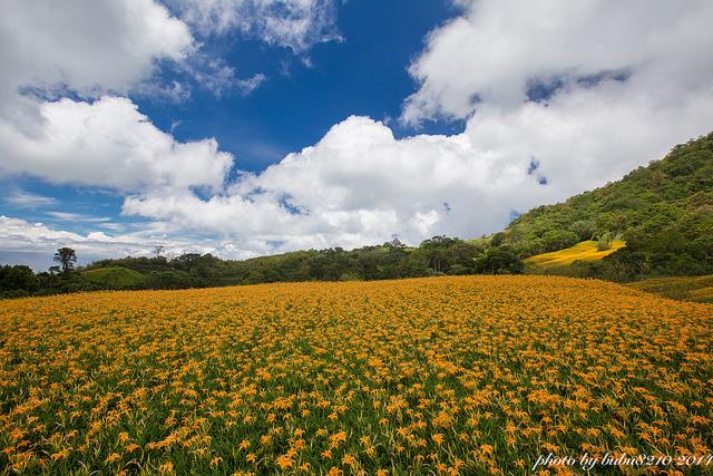 你知道金针花的花语是“忘忧”吗?为自己安排一个假期去喘口气吧! 内容图4 女神网-大潮社TV实时追踪属于女人新资讯的综合网站! 03