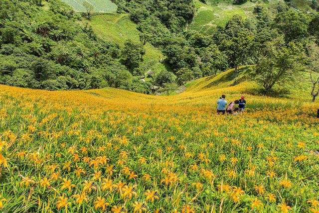 你知道金针花的花语是“忘忧”吗?为自己安排一个假期去喘口气吧! 内容图6 女神网-大潮社TV实时追踪属于女人新资讯的综合网站! 05