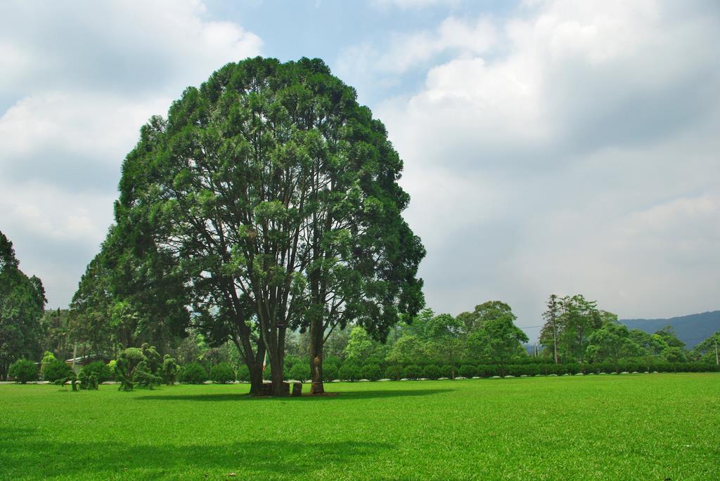 阳光 X 树荫 X 绿地,内地台湾 10 处夏日野餐圣地大集合! 内容图13 女神网-大潮社TV实时追踪属于女人新资讯的综合网站! 阳光 X 树荫 X 绿地,内地台湾 10 处夏日野餐圣地大集合! 乐活旅行 图13张