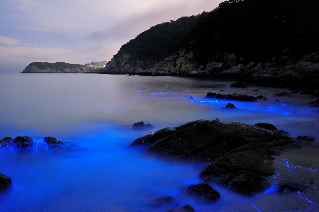 落日、海景、蓝眼泪,这家咖啡馆一次满足你的愿望! 内容图1 女神网-大潮社TV实时追踪属于女人新资讯的综合网站! 落日、海景、蓝眼泪,这家咖啡馆一次满足你的愿望! 乐活旅行 图1张
