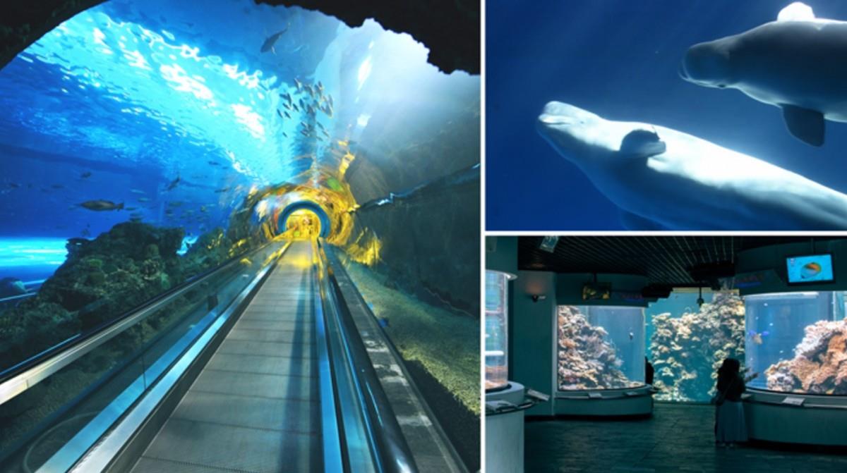 夜宿博物馆?博物馆可以免费逛?达人教你带孩子这样玩! 内容图1 女神网-大潮社TV实时追踪属于女人新资讯的综合网站! 夜宿博物馆?博物馆可以免费逛?达人教你带孩子这样玩! 乐活旅行 图1张