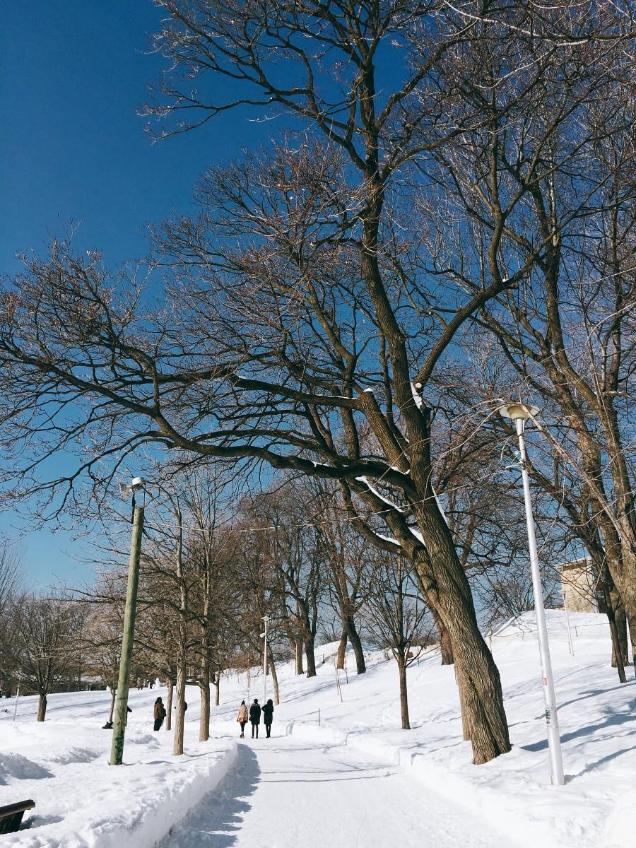 【女子爱旅行】不为语言的障碍感到自卑,是你的权利 内容图2 女神网-大潮社TV实时追踪属于女人新资讯的综合网站! 【女子爱旅行】不为语言的障碍感到自卑,是你的权利 乐活旅行 图2张