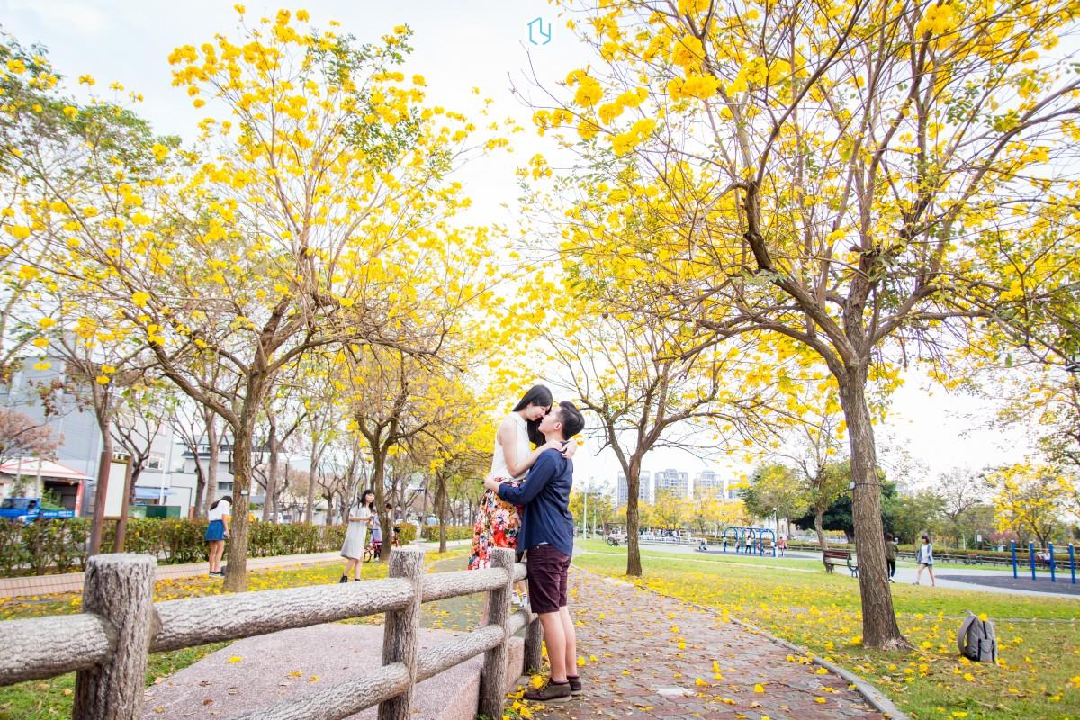 黄花风铃木盛开!这几个“金黄仙境”拍照打卡询问度破表 内容图3 女神网-大潮社TV实时追踪属于女人新资讯的综合网站! 黄花风铃木盛开!这几个“金黄仙境”拍照打卡询问度破表 乐活旅行 图3张